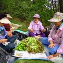 수학경로당 이미지