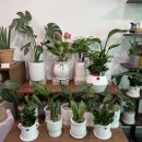 토월한의원 이미지