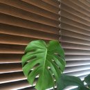 맑은하늘정형외과의원 이미지