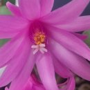 베프부동산중개사무소 이미지