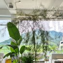 빈인더바스켓(bean in the basket) 이미지