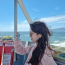 [미국 여행/LA여행] day6_산타모니카 비치,맛집/얼쓰카페/베니스비치/<b>아보키</b>니/코리아타운 엽떡