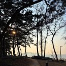 방아머리공원 화장실 이미지