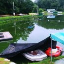 백달낚시터 이미지