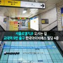 서울로뎀치과 이미지
