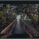 알펜시아관광단지 이미지