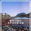 황금목장투 이미지