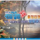 물맑은양평체육관 이미지