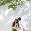그레이스케일 이미지