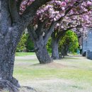 유엔기념공원주차장 이미지