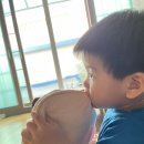 하비함미 이미지