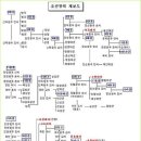 조선왕조 계보와 역사의 공과가 이미지