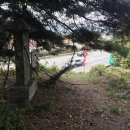 유석선생묘 및 신도비 이미지