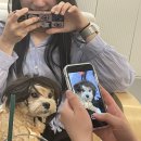 밈카페 이미지