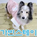 스테이 동물병원 이미지