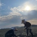 태안 체로키캠핑장, 조개잡이와 낚시가 가능한 서해 오션뷰 신생캠핑장