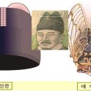 염이네집