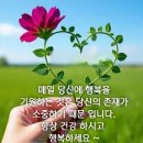 [정보] ﻿STR이 뭔지 알고 갑시다. 이미지