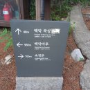 곡성-034 이미지