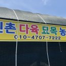 진교다육