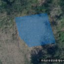 온유공인중개사사무소 이미지