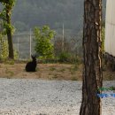 양평 베이스캠프 이미지