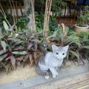 양모리 양대창 | 슬기로운 방학생활 💬