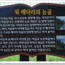 고양올레 21차 - 견달산 가는 길... 이미지