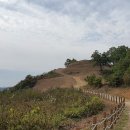 덕진-13 이미지