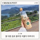 물 대용 음료 고소하고 부드러운 풀무원 곡물차 하루귀리