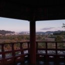 선어대생태공원 이미지