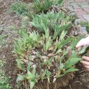 동두천역 이미지