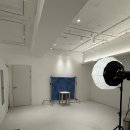 세화안경 | 'Umm 스튜디오' 부산 전포 강아지 사진관 증멍사진 후기