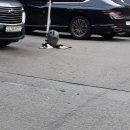 학익체육관 이미지