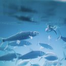 눈큰실내낚시터 이미지