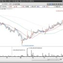 (주)금호약품 이미지