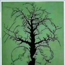 솔향기 펜션 이미지