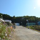 풍류마을펜션 이미지