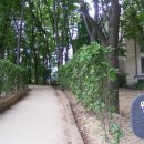 서초장미어린이집 이미지