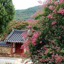 덕천사德川祠 이미지