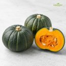 호박꽃식품 | 🎃 가성비 끝판왕! 제주도 못난이 밤호박 보우짱 1kg~10kg 후기 &amp; 찌는법/보관법