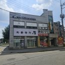 연제구-045 | 양산 렉돌고양이무료분양 아비시니안입양 우리 집 행복덩어리(feat.부평,계양구,해운대,연제구)