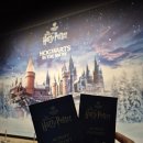 안경브라더스 | 🇬🇧[영국/런던] 샅샅이 기록한 워너 브라더스 스튜디오 투어 런던 (a.k.a. 해리포터 스튜디오)