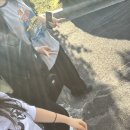 롯데시네마(영신안경 앞) 버스정류장 | 블챌 4주차, 시간 참 빠르다…⏰