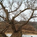 봉화마을길 이미지