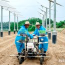 한빛 태양광발전소 이미지