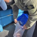 제주도이호바다배낚시체험