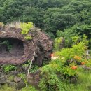 서해랑길 43코스 이미지