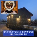제주도 만삭사진 셀프 촬영 후기, 감성숙소 추천(판포포구 돌담집 '벨진우영') [매일운동 319일차]