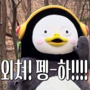 리슈채 | 안면도 급여행 후기(내돈내산리얼후기)